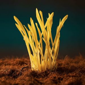 artigo #11 hero artigo #11 hero