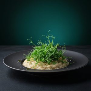 artigo #13 imagem 2 artigo #13 imagem 2