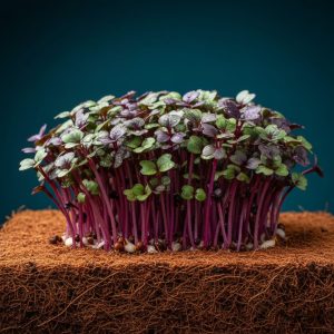 artigo#10 hero artigo#10 hero